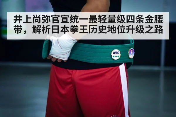 boxing championship belt