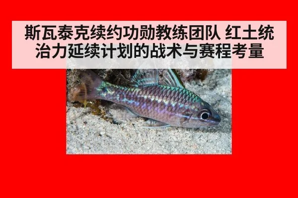 斯瓦泰克续约功勋教练团队 红土统治力延续计划的战术与赛程考量